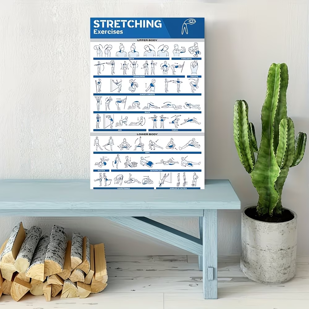 Pôster moderno com etiquetas d - Sports Equipment Poster avaliação e preço