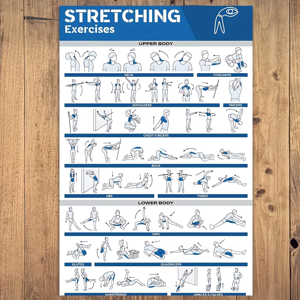 Pôster moderno com etiquetas d - Sports Equipment Poster avaliação e preço